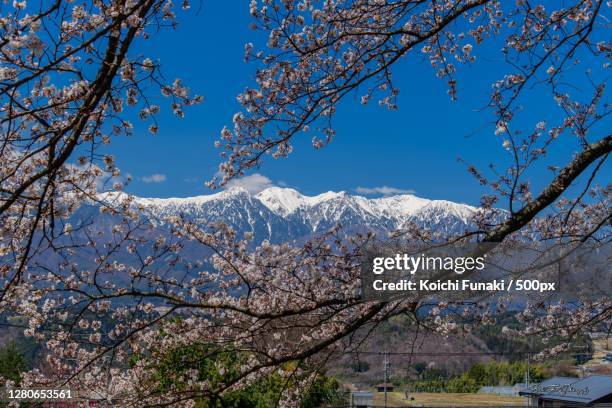 Nakagawa Nagano Photos and Premium High Res Pictures Getty Images