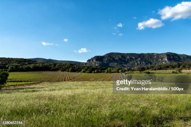 scenic view of field against sky,occitanie,france - occitanie stock-fotos und bilder