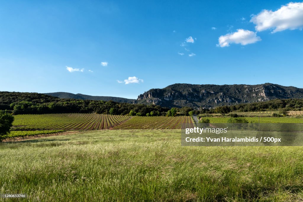 Scenic view of field against sky,Occitanie,France