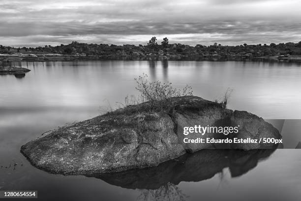 scenic view of lake against sky,extremadura,spain - ecossistema stock pictures, royalty-free photos & images