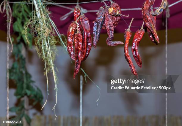 close-up of dry leaves hanging on tree,la parra,extremadura,spain - comerciante stock pictures, royalty-free photos & images