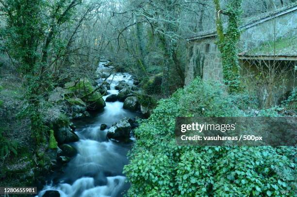 37 Edor Stock Photos, High-Res Pictures, and Images - Getty Images