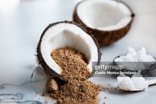 coconut and panela raw sugar - coco fotografías e imágenes de stock