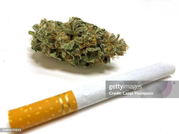 cigarette and cannabis bud together over white background - cigarette bud stock pictures, royalty-free photos & images