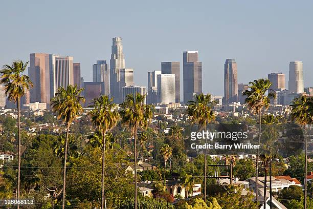 view of downtown los angeles from silver lake, los angeles, california, usa, may 2010 - day of the dead in los angeles stockfoto's en -beelden
