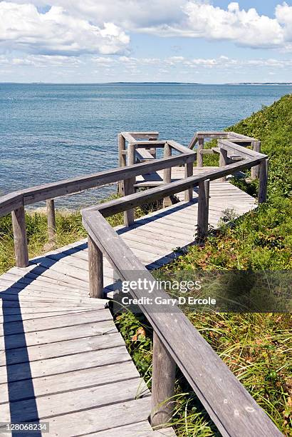 observation deck @ bluff overlook on coast of martha's vineyard, massachusetts, usa, august 2010 - marthas vineyard fotografías e imágenes de stock