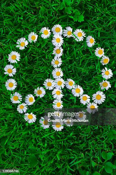 white daisies, laying on the grass forming a peace sign symbol - hippie foto e immagini stock