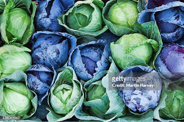 green and red cabbages, full frame - cabbage stock pictures, royalty-free photos & images