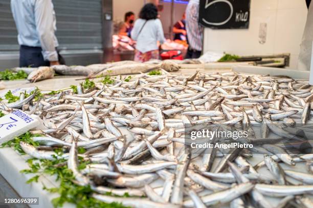 fish stall in the central market - trachurus trachurus stock-fotos und bilder