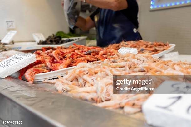 fish stall in the central market - trachurus trachurus stock-fotos und bilder