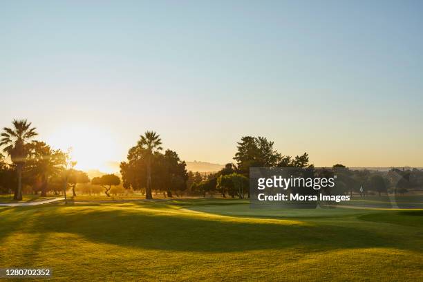 green golf course against clear blue sky - golf turf stock pictures, royalty-free photos & images