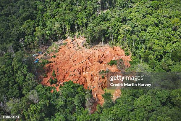 Mining In Rainforests 1,007 Deforestation Mining Stock Photos, High-Res Pictures, and Images ...