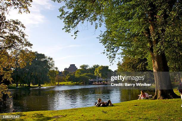 boston public garden lagoon, boston common, boston, massachusetts, usa - boston common stock pictures, royalty-free photos & images