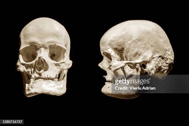 human skull anatomical death abstract isloated horror - man standing full body isolated stock pictures, royalty-free photos & images