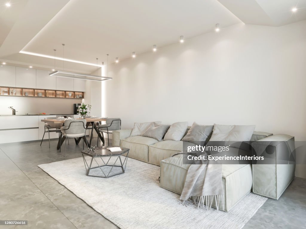 Modern open space apartment