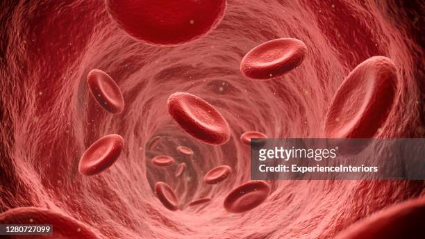 red blood cells flowing through the blood stream - vaso sanguíneo imagens e fotografias de stock
