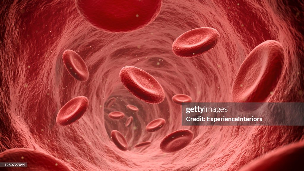 Röda blodkroppar som strömmar genom blodströmmen