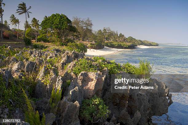 tiwi beach, mombasa, kenya, africa - mombasa stock-fotos und bilder