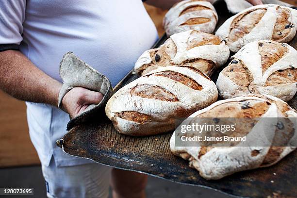 baker holding tray of freshly baked bread - bakery stock pictures, royalty-free photos & images