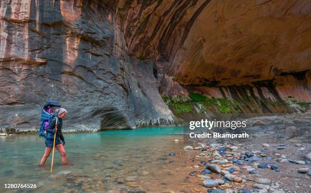 die berühmten narrows mit dem virgin river im berühmten canyon des zion-nationalparks mit roten klippen im süden utahs usa - southern utah v utah stock-fotos und bilder