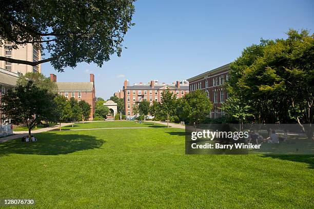 students relaxing on grass on campus of brown university, providence, rhode island - campus stockfoto's en -beelden