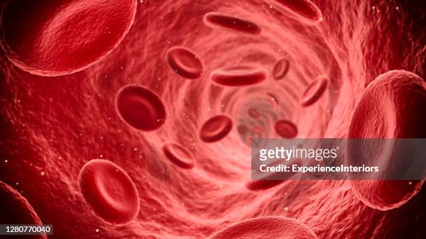血流を流れる赤血球 - 人間の血液 ストックフォトと画像