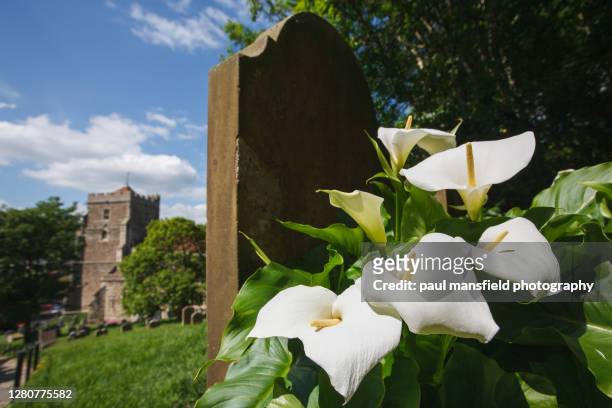 lillies and gravestone - tomba luogo di sepoltura foto e immagini stock