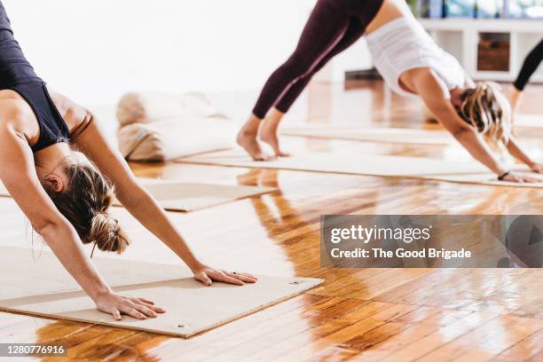 women practicing downward facing dog position in yoga class - downward facing dog position stock pictures, royalty-free photos & images