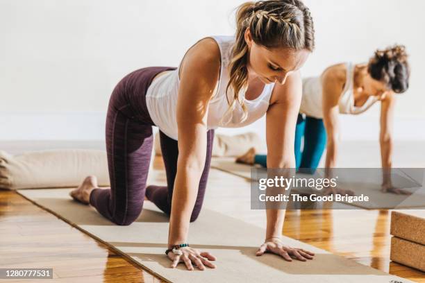 women practicing yoga in cat pose at brightly lit health club - woman kneeling stock-fotos und bilder