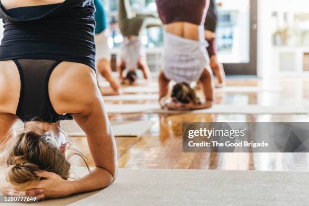 rear view of women doing headstands in yoga class - headstand ストックフォトと画像