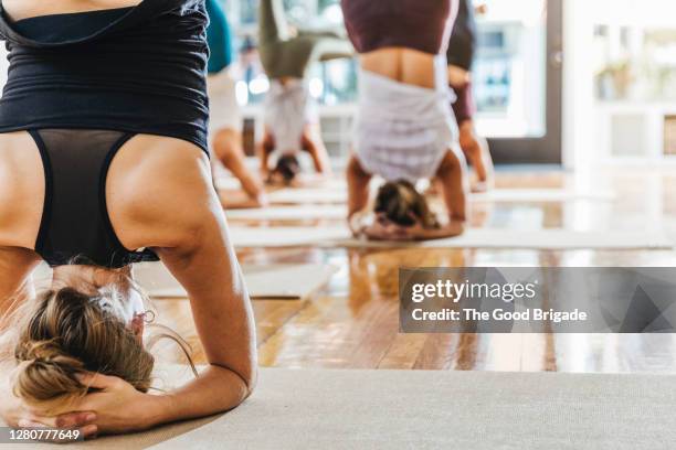 rear view of women doing headstands in yoga class - upside down stock pictures, royalty-free photos & images