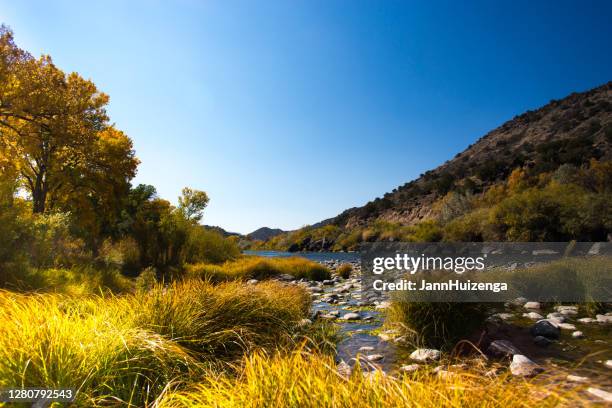 zonovergoten rio grande river, cottonwoods, herfst 2020 droogte - santa fe stockfoto's en -beelden