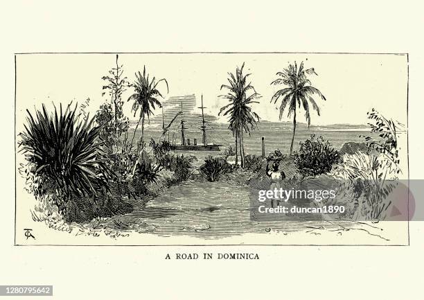 ilustraciones, imágenes clip art, dibujos animados e iconos de stock de vista de una carretera en dominica, 1888, siglo xix - hispaniola