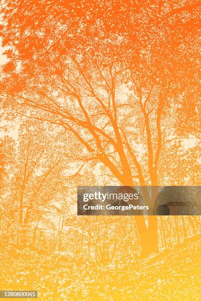 forest footpath with autumn leaves - fall park background stock illustrations