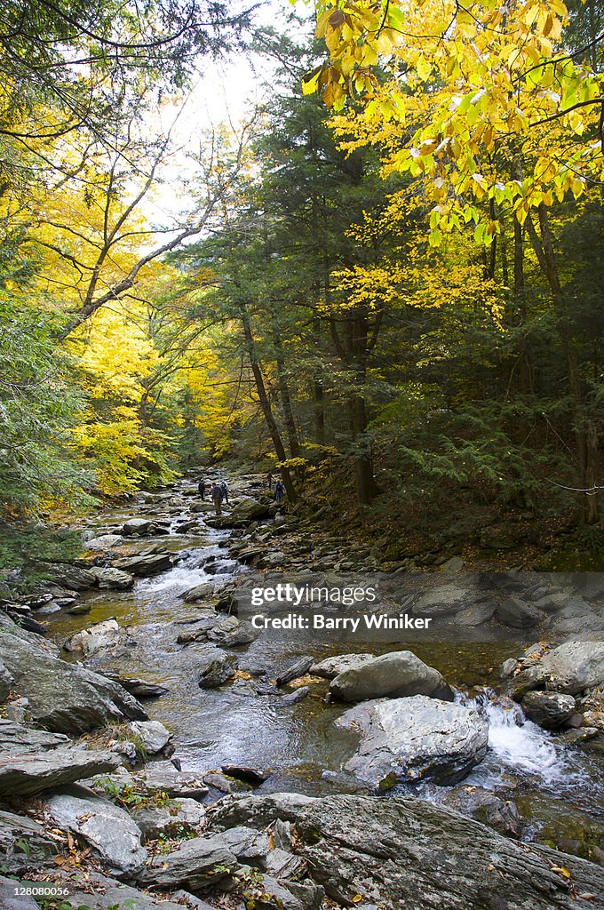 Stream from BashBish Falls at BashBish State Park, autumn, Columbia County, New York State, NY, U.S.A.