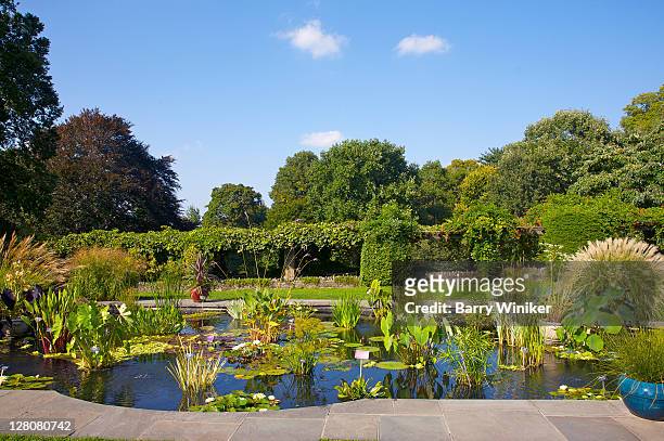 wave hill, aquatic garden, water plants, formal garden pool, riverdale, the bronx, new york, ny, u.s.a. - riverdale stock pictures, royalty-free photos & images