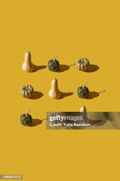 various pumpkin on the yellow background - vegetable harvest - fotografias e filmes do acervo