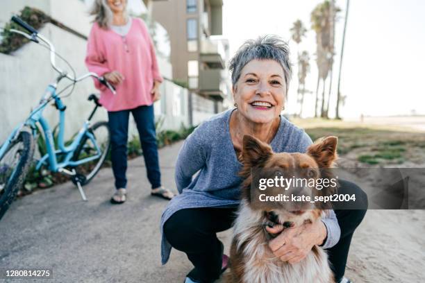 active senior women enjoying the day - mature adult walking dog stock pictures, royalty-free photos & images