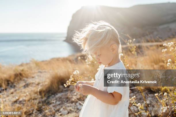 little girl on nature holding small flowers in the hands. - beautiful blonde babes stockfoto's en -beelden