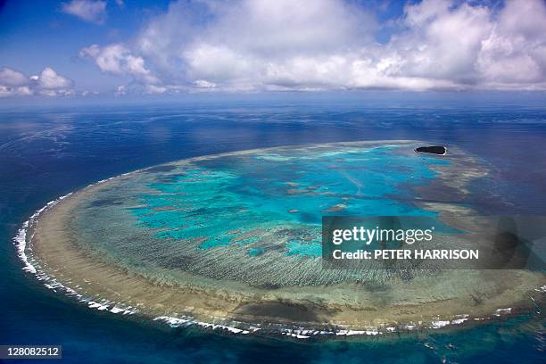 aerial view of lady musgrave island, great barrier reef, queensland, australia - great barrier reef stockfoto's en -beelden