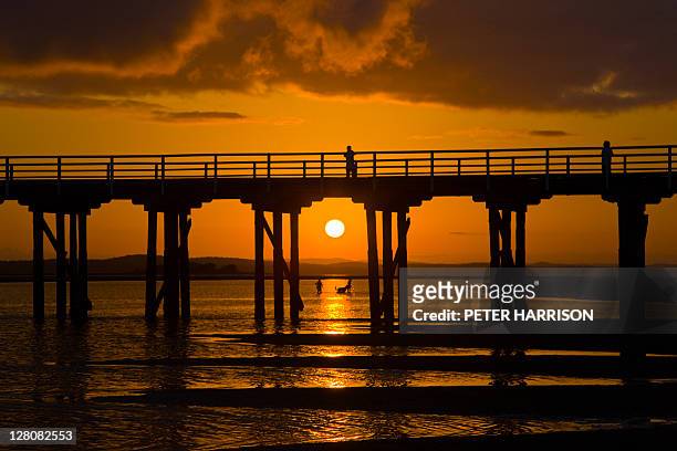 30 Urangan Pier 'Sunrise', Hervey Bay Photos and Premium High Res Pictures  - Getty Images