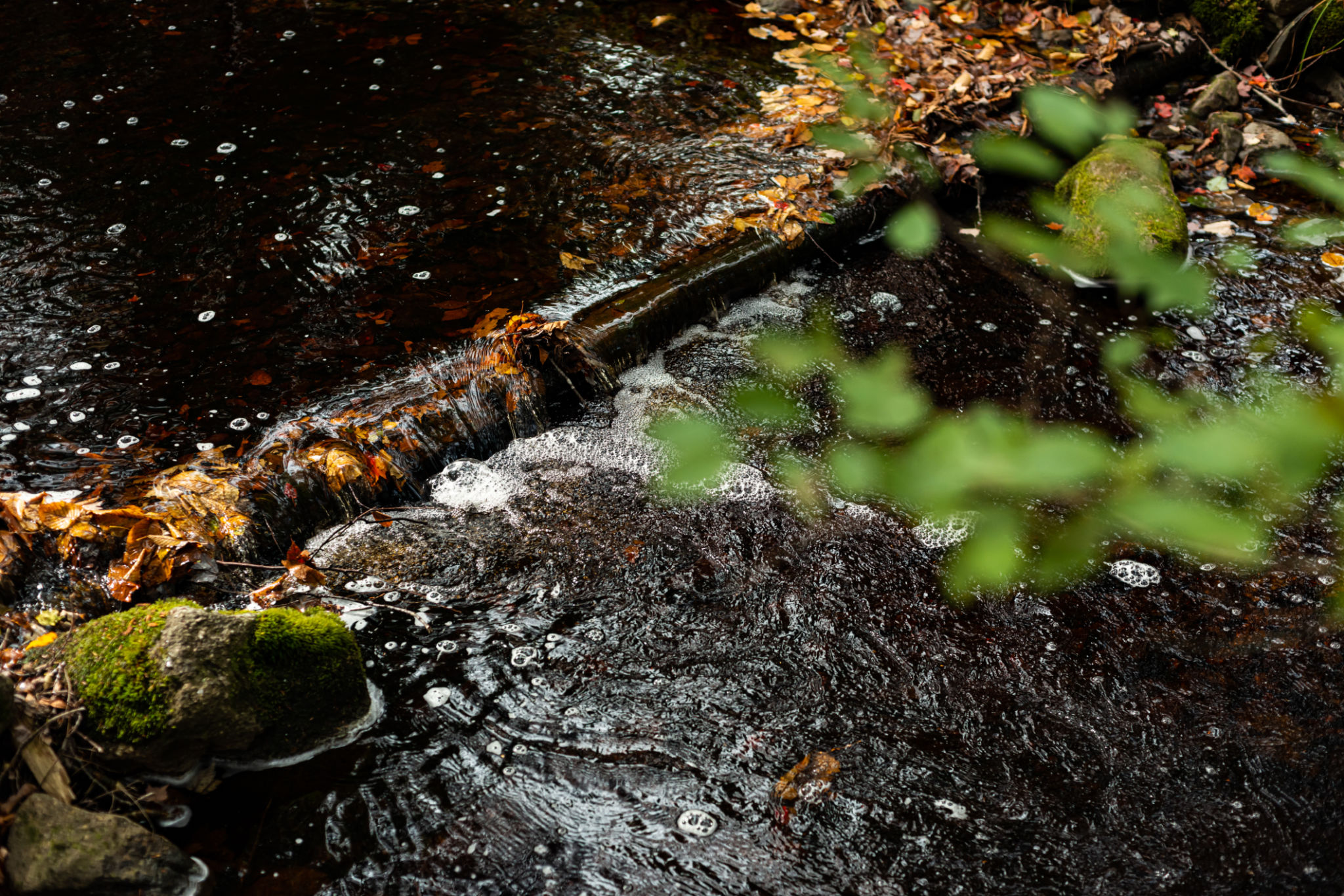 creek restoration