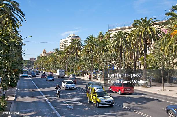 cars surrounded by palm trees on paseo del parque, malaga, costa del sol, andalucia, spain - boulevard foto e immagini stock