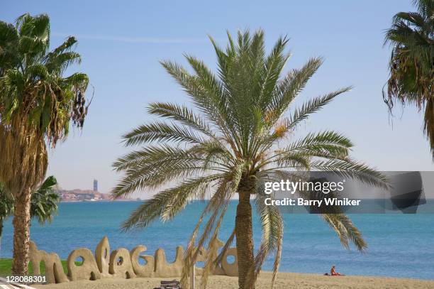 palm tree and malagueta sign on beach of malaga on the mediterranean sea, costa del sol, andalucia, spain - malaga beach stock pictures, royalty-free photos & images