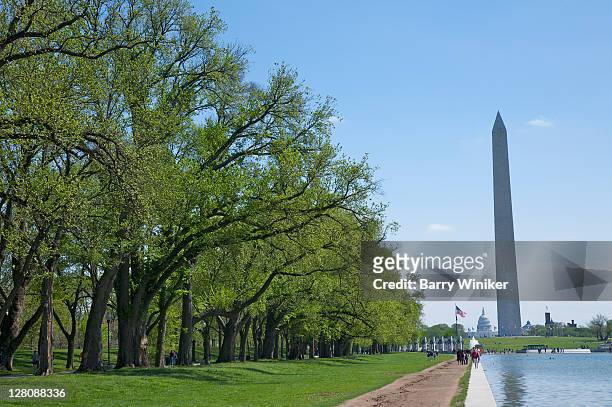 reflecting pool and footpath leading to washington monument, washington dc, usa - washington monument dc fotografías e imágenes de stock