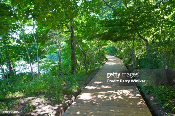 avalon, public garden, paul simons foundation, stony brook, ny, u.s.a. - stony brook stato di new york foto e immagini stock