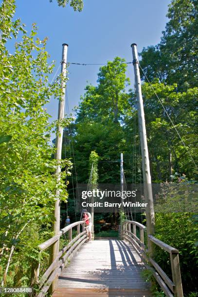 bridge at avalon, public garden, paul simons foundation, stony brook, ny, u.s.a. - stony brook stock pictures, royalty-free photos & images