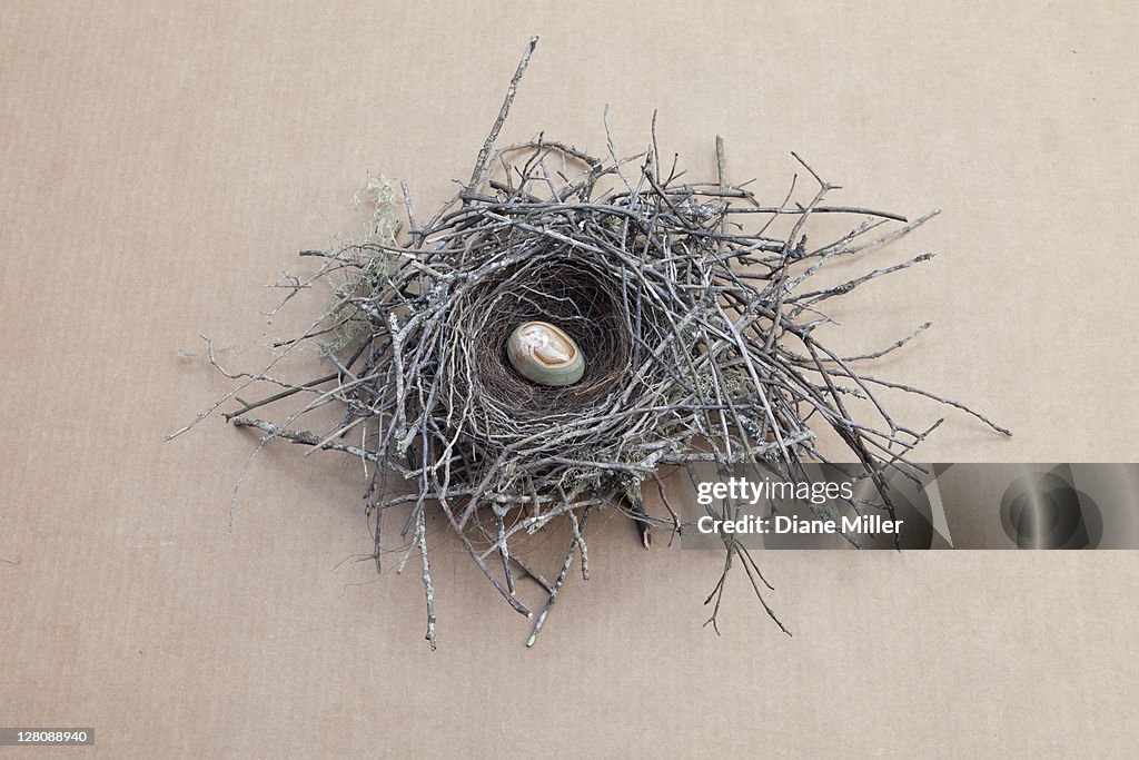 Bird's nest with polished stone egg