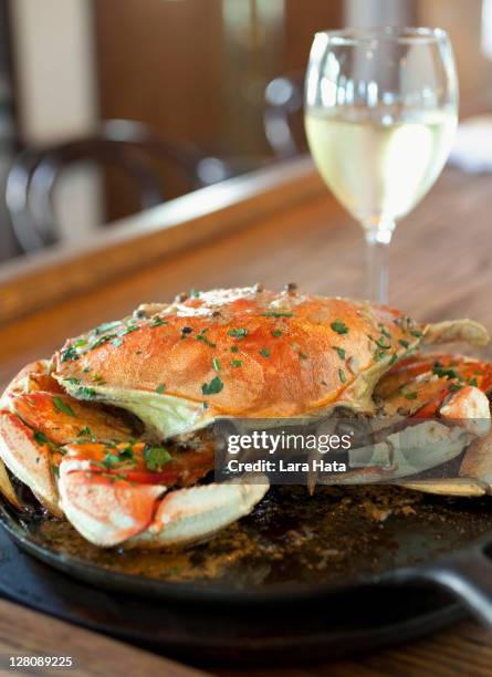 whole dungeness crab - dungeness stock pictures, royalty-free photos & images