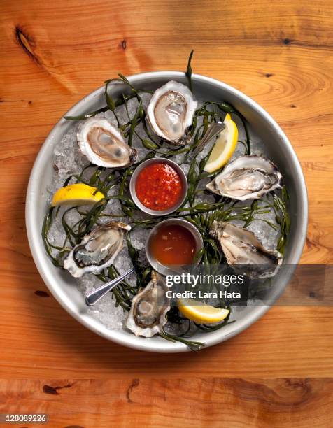 raw oyster platter - seafood platter stock pictures, royalty-free photos & images